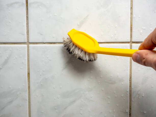 Best Home Mold Removal  in North Liberty, IA