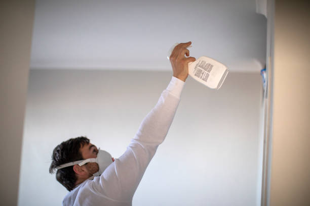 North Liberty, IA Mold Removal Company